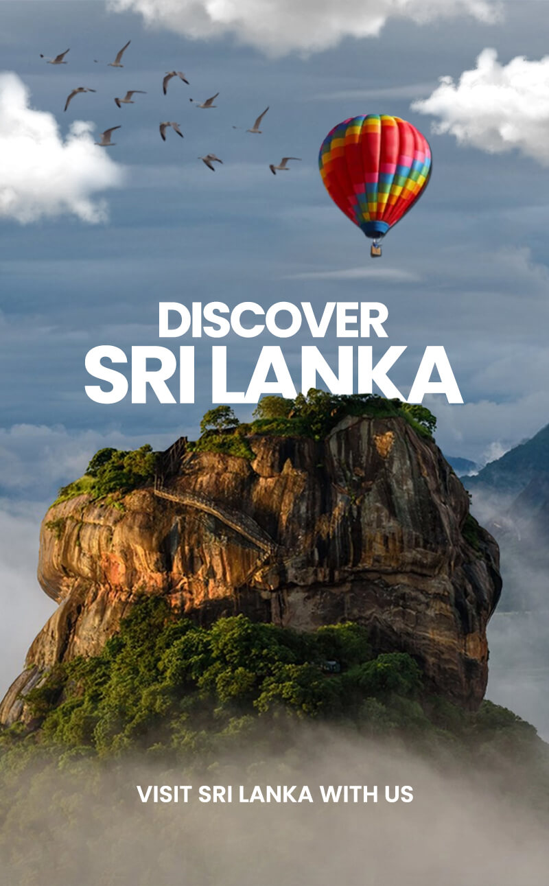 Discover Srilanka